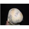 Image 3 : JACKASS WEE MAN LIFE CAST SIGNED BY THE ENTIRE CAST