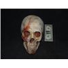 Image 1 : VHS 3 ROTTON ZOMBIE SKULL SEVERED HEAD SCREEN USED BUT FILM NOT YET RELEASED!