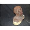 Image 2 : CREEPY WEREWOLF MUMMY DEMON FULL HEAD & BUST MASK APPLIANCE W/ ACRYLIC TEETH