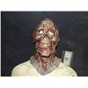 Image 1 : VHS 3 ROTTEN ZOMBIE SKULL FULL HEAD LATEX MASK STAGE 3 FILM NOT YET RELEASED!