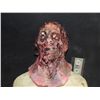 Image 1 : VHS 3 ROTTEN ZOMBIE SKULL FULL HEAD MASK APPLIANCE STAGE 1 FILM NOT YET RELEASED!