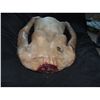 Image 2 : FEMALE UPPER CORPSE WITH SEVERED HEAD