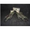 Image 1 : ALTERED ALIEN CREATURE SUIT FEET WEARABLE MATCHED PAIR 1