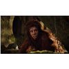 Image 3 : LAND OF THE LOST HUGE LOT OF CHAKA AND CAVE MAN TEETH 7 SETS