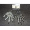 Image 1 : BLOOD THE LAST VAMPIRE ALIEN DEMON CREATURE MONSTER WEARABLE HERO COSTUME HANDS 5