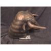 Image 3 : AMERICAN HORROR STORY SCREEN USED BULL TORO GOD HELMET MASK