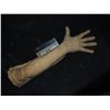 Image 1 : SEVERED ROTTEN ZOMBIE ARM WITH HAND