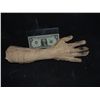 Image 1 : SEVERED ARM WITH HAND NO RESERVE!