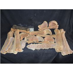 DAY OF THE DEAD CONTAGIUM UNUSED ZOMBIE LATEX BONE APPLIANCES