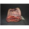 Image 1 : SEVERED LOWER TORSO WITH EXCELLENT GORE
