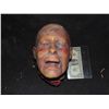 Image 1 : SEVERED TORN OFF HEAD WITH EXCELLENT GORE AT STUMP INDUSTRIAL GRADE!