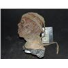 Image 2 : MUMMY ROTTEN ZOMBIE FULL HEAD MASK 3