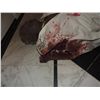 Image 2 : SEVERED HEAD & ARM FULL BODY CORPSE NO RESERVE
