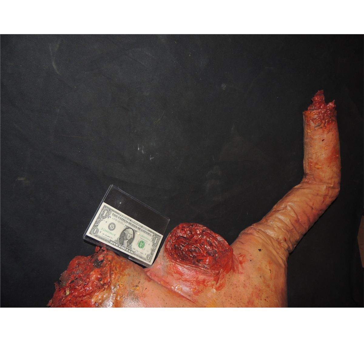 Severed Upper Torso With Head Arm Hand Torn Off Showing Gore Severed Upper Torso With Head Arm Hand Torn Off Showing Gore