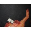 Image 2 : SEVERED UPPER TORSO WITH HEAD ARM & HAND TORN OFF SHOWING GORE