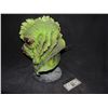 Image 2 : BEDTIME STORIES ALIEN CREATURE MASK FROM SPACE STATION SILICONE