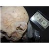 Image 2 : NOSFERATU OOAK MAQUETTE HEAD BUST