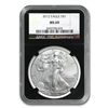 Image 2 : 2007-2012 Silver American Eagle Date Set (NGC MS-70)