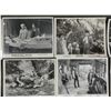 Image 2 : 20 Lobby Photo Cards 8" x 10" Classic Movie 1950s-