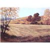Image 1 : The Field by Baker- Original Acrylic 24x32