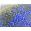 Image 3 : Large Artist Signed Pottery Bowl w/ Blue Spots