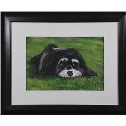 Barb Benstein Original Pastel Art Shih Tzu Dog -Framed