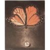 Image 2 : Pinned Drop Mezzotint By G.H. Rothe Framed to 20x23