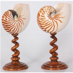 Pr. Nautilus Shells On Stands