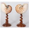 Image 2 : Pr. Nautilus Shells On Stands