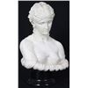 Image 3 : Parian Bust Of Clytie