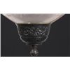 Image 6 : Etched Hall Lamp