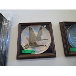 Framed collector's plate