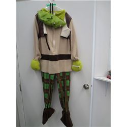 Child/Youth Shrek costume