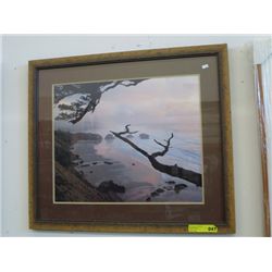 Framed seascape