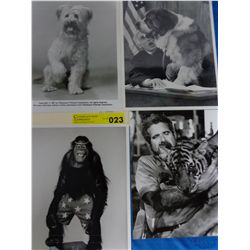 Six 8 x 10 Photos of TV Show Animals
