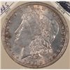 Image 2 : 1885 MORGAN DOLLAR AU+
