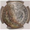 Image 3 : 1904-O MORGAN DOLLAR NGC MS64