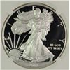 Image 2 : 2013-W PROOF AMERICAN SILVER EAGLE, NGC PF-69 ULTRA CAMEO