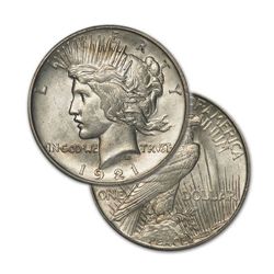 Peace Silver Dollar Coin - Random date - Average Circulated