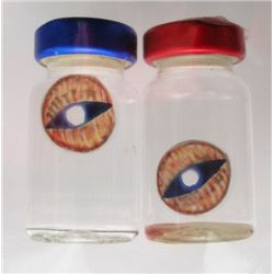 Poltergeist: The Legacy SFX Demon Lenses
