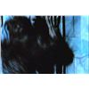 Image 3 : Goosebumps Werewolf Hands