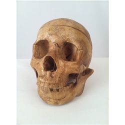 Tales from the Crypt Spring Rigged Human Skull Prop