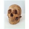 Image 1 : Tales from the Crypt Spring Rigged Human Skull Prop