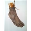 Image 1 : The Evil Dead Severed Foot Prop
