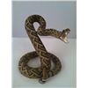 Image 1 : Night at the Museum Rattlesnake Prop