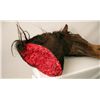 Image 3 : The Godfather Jack Woltz Bedroom Severed Horse Head Prop