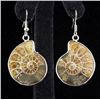 Image 1 : 10.60GRAMS AMMONITE FOSSIL GEMSTONE SNAIL EARRING