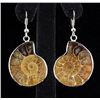 Image 2 : 10.60GRAMS AMMONITE FOSSIL GEMSTONE SNAIL EARRING