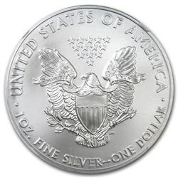 2009 1 oz Silver American Eagle MS-69 PCGS (First Strik