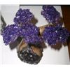 Image 1 : BEAUTIFUL BRAZILIAN AMETHYST TREE STANDING ON AN AMETHYST GEODE AS BASE APPROX. 4" ACROSS X 3" TALL